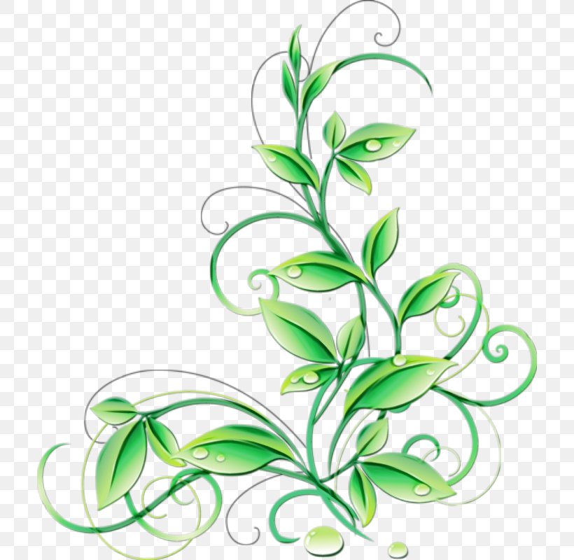 Green Grass Background, PNG, 714x800px, Green, Drawing, Floral Design, Flower, Grass Download Free