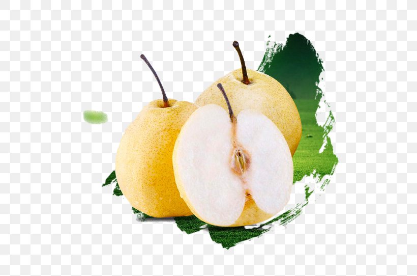 Asian Pear Pyrus Nivalis U7800u5c71u9165u68a8 Fruit, PNG, 542x542px, Asian Pear, Apple, Auglis, Food, Fruit Download Free