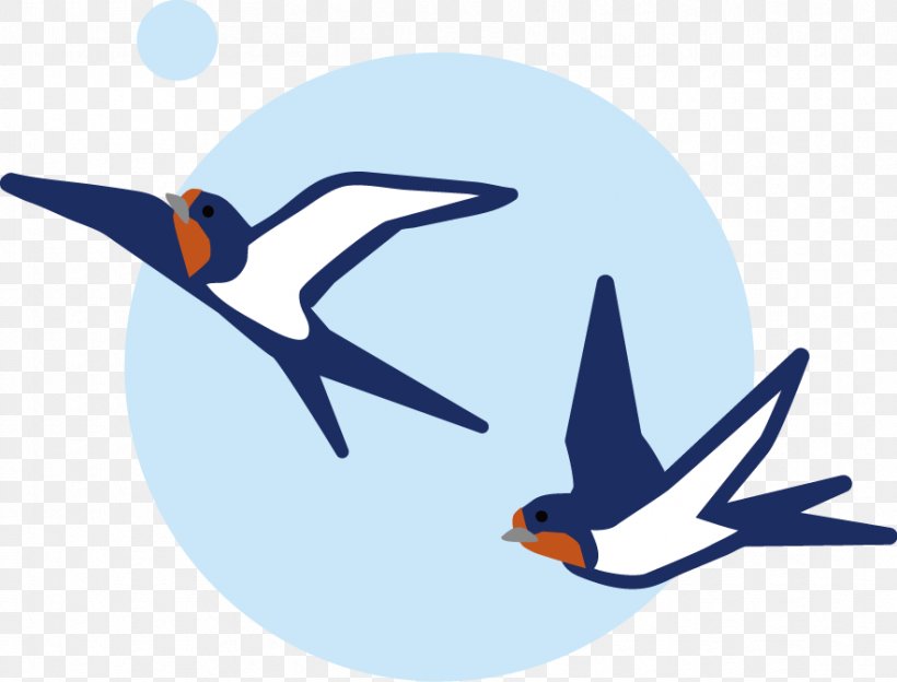 Barn Swallow Edible Bird's Nest Fledge Season, PNG, 883x672px, Barn Swallow, Beak, Bird, Blog, Fauna Download Free