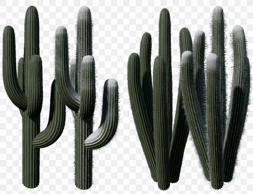 Cactaceae Normal Mapping Texture Mapping, PNG, 1300x1000px, Cactaceae, Cactus, Material, Normal, Normal Mapping Download Free