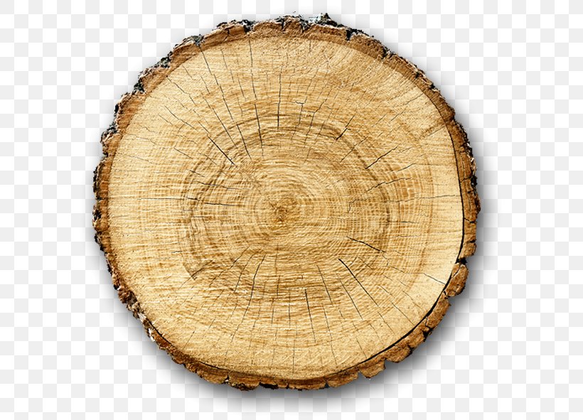 Stock Photography Wood Tree Biomass Fotolia, PNG, 603x591px, Stock Photography, Biomass, Cross Section, Fotolia, Lumber Download Free