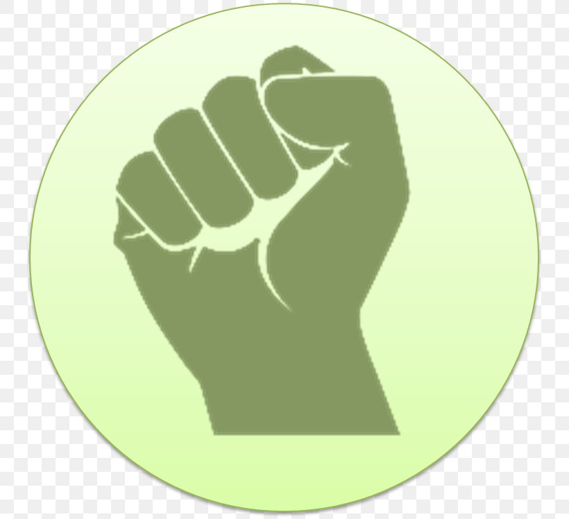 Xenophobia In South Africa United States Gun Violence Firearm Walkout, PNG, 749x748px, United States, Douglas High School Shooting, Finger, Firearm, Green Download Free