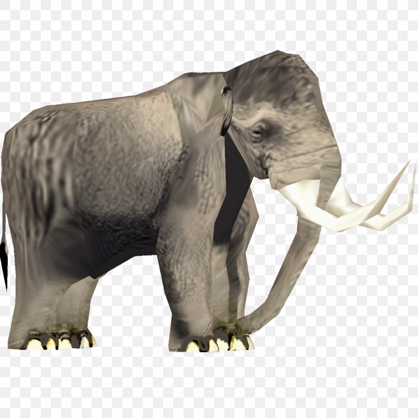 African Elephant Asian Elephant Mammuthus Meridionalis Steppe Mammoth, PNG, 1024x1024px, African Elephant, Animal, Apatosaurus, Asian Elephant, Elephant Download Free