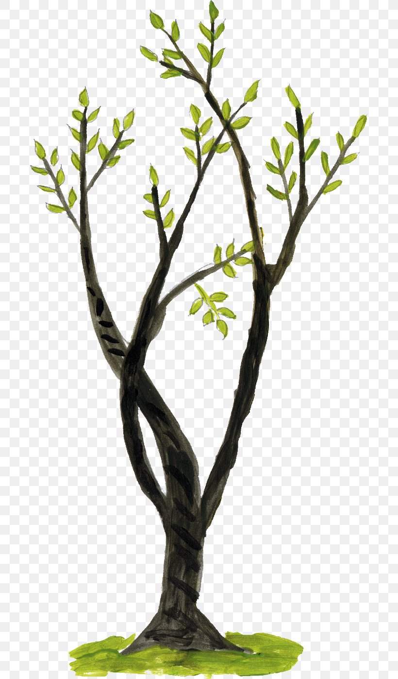 Branch Twig Tree, PNG, 695x1397px, Branch, Drawing, Flower, Flowerpot, Leaf Download Free