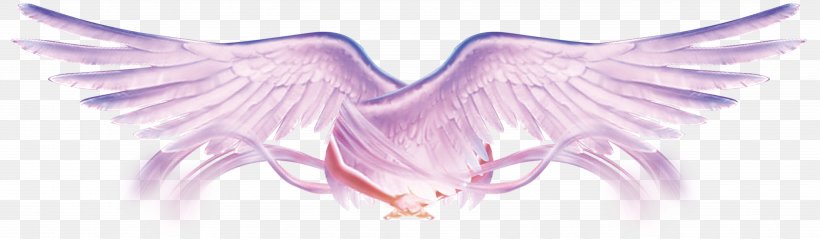Flight Wing, PNG, 7087x2069px, Watercolor, Cartoon, Flower, Frame, Heart Download Free