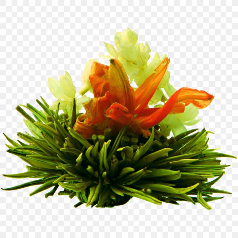Flowering Tea Green Tea Oolong Sencha, PNG, 1000x1000px, Flowering Tea, Black Tea, Floral Design, Floristry, Gongfu Tea Ceremony Download Free