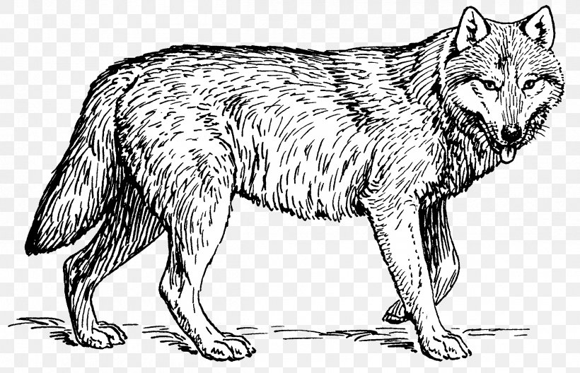 Puppy Arctic Wolf Coloring Book Pack Clip Art, PNG, 2415x1556px, Puppy, Adult, Arctic Wolf, Artwork, Black And White Download Free