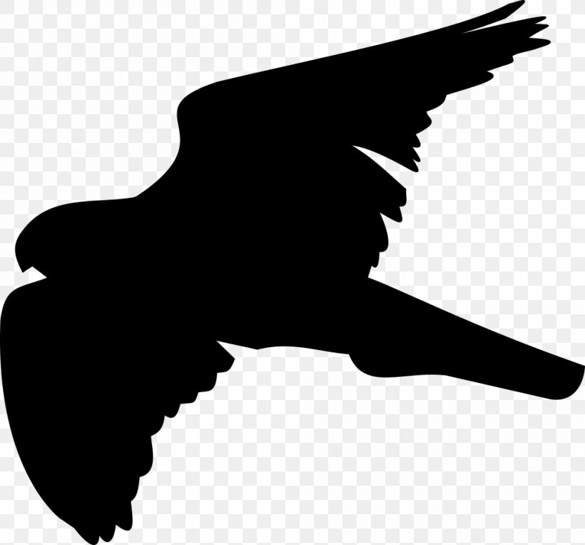 Clip Art Bird Of Prey Red-tailed Hawk, PNG, 1000x931px, Bird, Beak, Bird Of Prey, Drawing, Eagle Download Free
