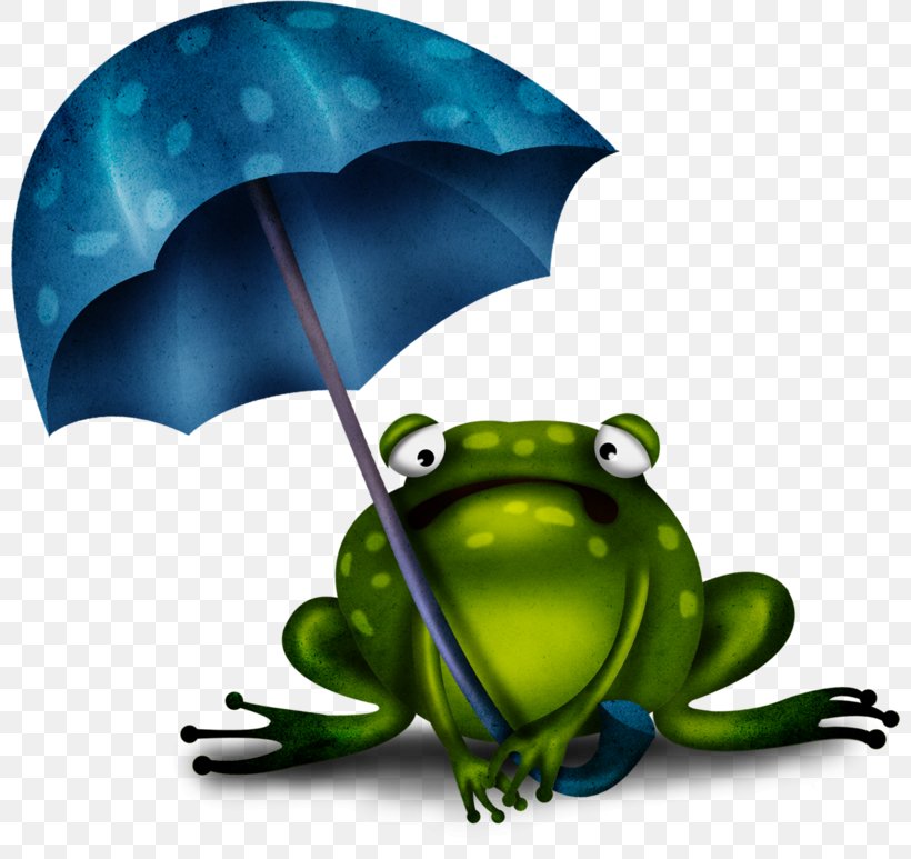 Edible Frog Amphibians Cartoon, PNG, 800x773px, Frog, Amphibian, Amphibians, Animation, Cartoon Download Free