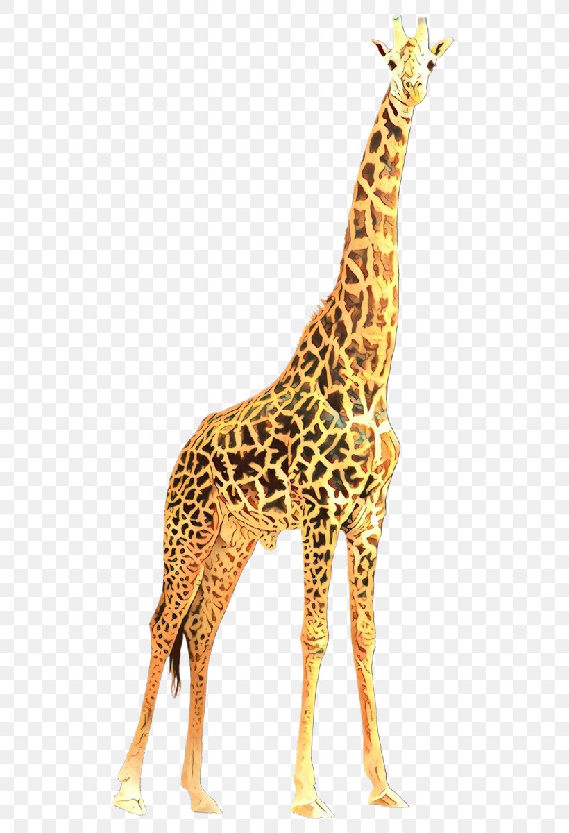 Giraffe Giraffidae Terrestrial Animal Wildlife Animal Figure, PNG, 533x1200px, Cartoon, Animal Figure, Fawn, Giraffe, Giraffidae Download Free
