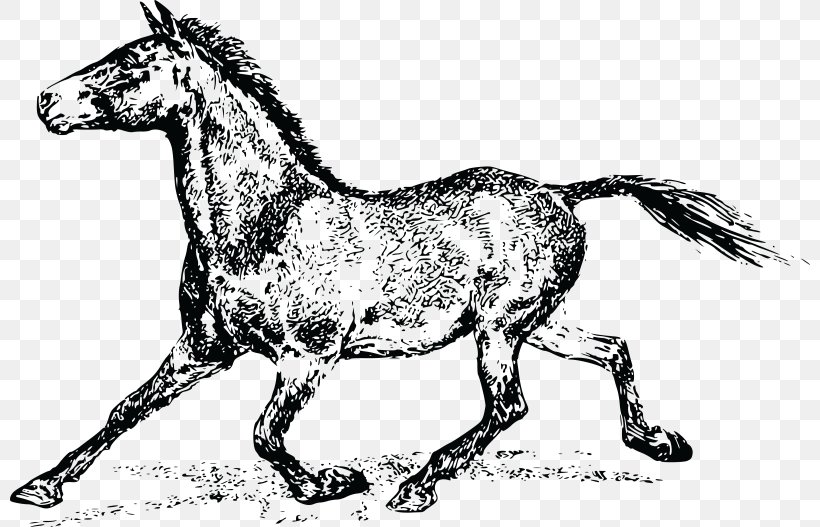 Horse Clip Art Vector Graphics Image Pony, PNG, 800x527px, Horse, Animal, Animal Figure, Black And White, Bridle Download Free