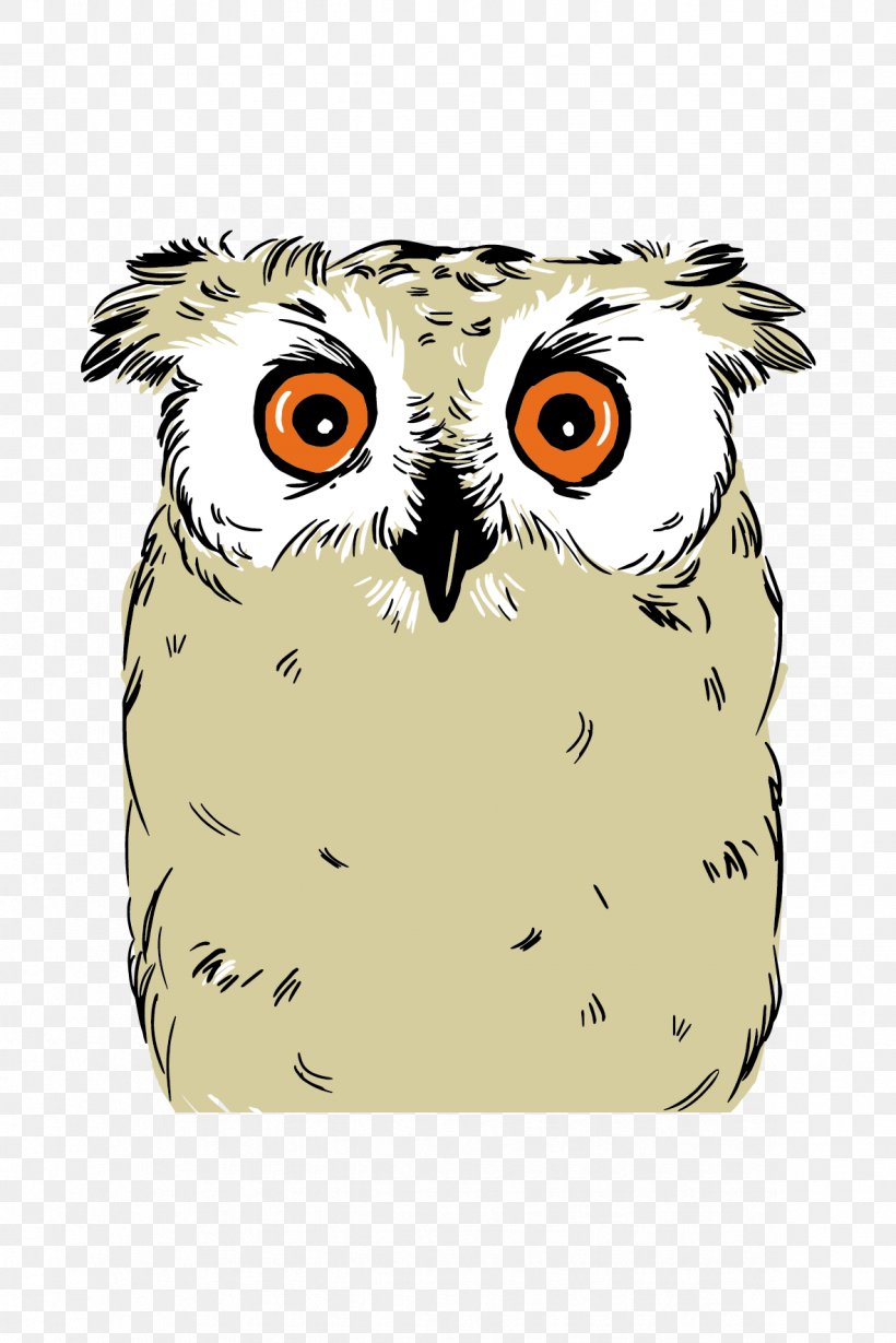 Owl Energy Drink Beer Fizzy Drinks, PNG, 1182x1772px, Owl, Alcoholic Drink, Beak, Beer, Bird Download Free