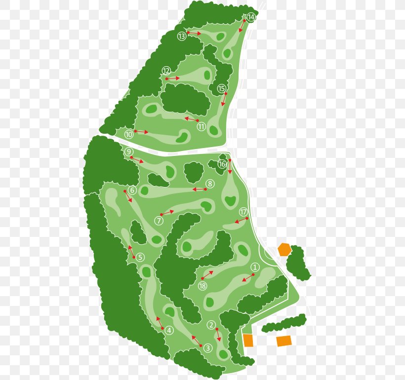 Pitch And Putt Pitch & Putt Golf Heerde Golf Course Hole, PNG, 488x770px, Pitch And Putt, Christmas, Christmas Decoration, Christmas Tree, Footgolf Download Free