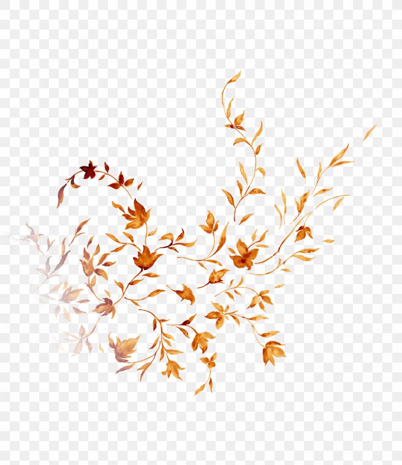Petal Maple Leaf Yellow, PNG, 956x1107px, Petal, Autumn, Autumn Leaf Color, Color, Leaf Download Free