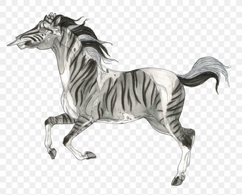 Mane Mustang Stallion Quagga Drawing, PNG, 900x728px, Mane, Animal Figure, Black And White, Character, Drawing Download Free
