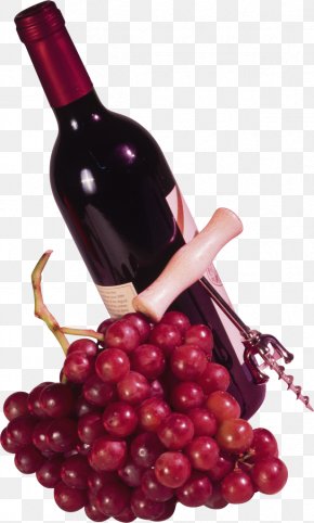 Wine - Wine Glass Photography Clip Art PNG