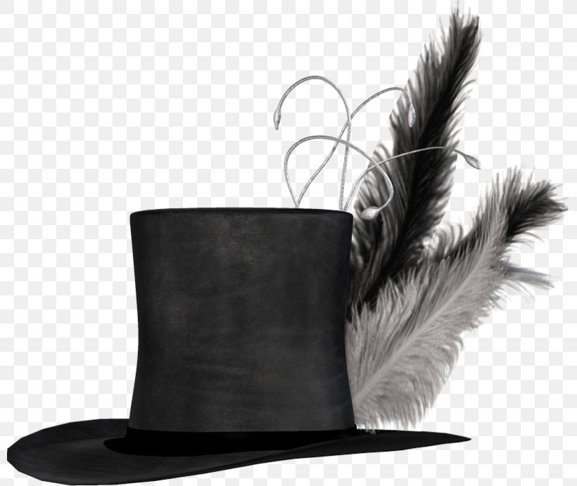 Hat Feather, PNG, 800x691px, Hat, Black, Cap, Color, Designer Download Free
