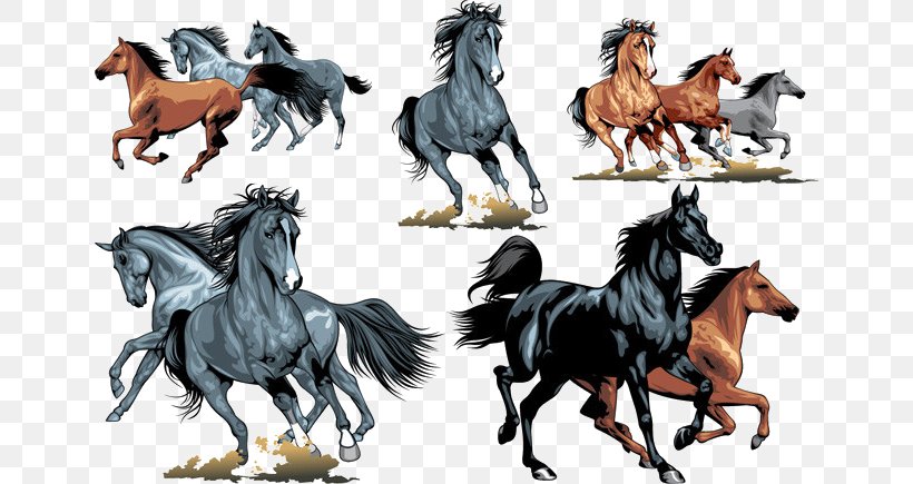 Horse Equestrianism Clip Art, PNG, 650x435px, Horse, Art, Canter And Gallop, Equestrianism, Horse Like Mammal Download Free