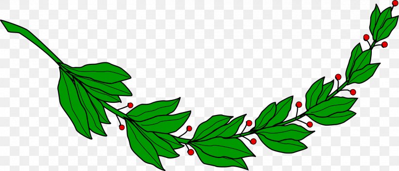 Laurel Wreath Bay Laurel Branch Clip Art, PNG, 2400x1029px, Laurel Wreath, Bay Laurel, Branch, Leaf, Plant Download Free