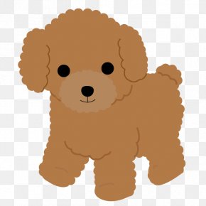 Toy Poodle Cartoon Images Toy Poodle Cartoon Transparent Png Free Download Poodle cartoon drawing, cartoon poodle, vertebrate, cartoon, fictional character png free minnie mouse mickey mouse drawing donald duck sketch, cartoon wedding, love, white, hand png. toy poodle cartoon transparent png