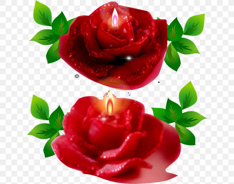 Candle Flame Festival, PNG, 634x646px, Candle, Birthday Cake, Festival, Flame, Flower Download Free