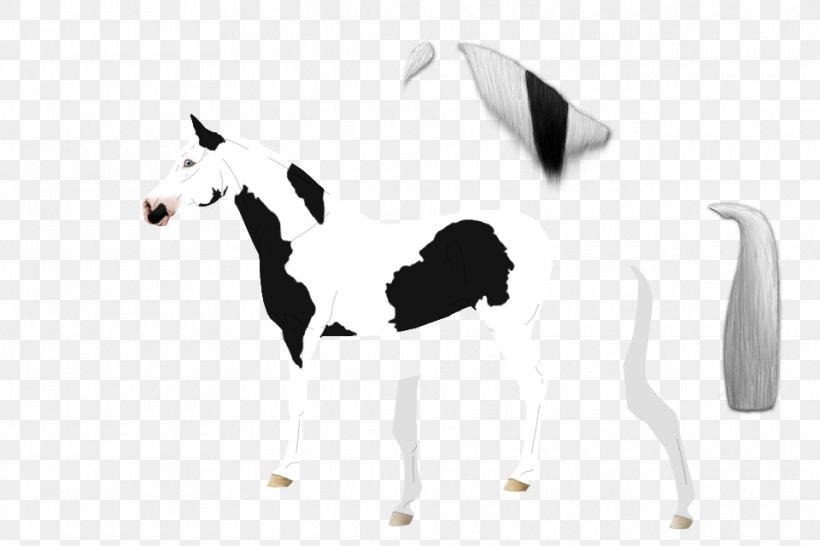 Horse White, PNG, 960x640px, Horse, Black And White, Horse Like Mammal, Livestock, Mammal Download Free