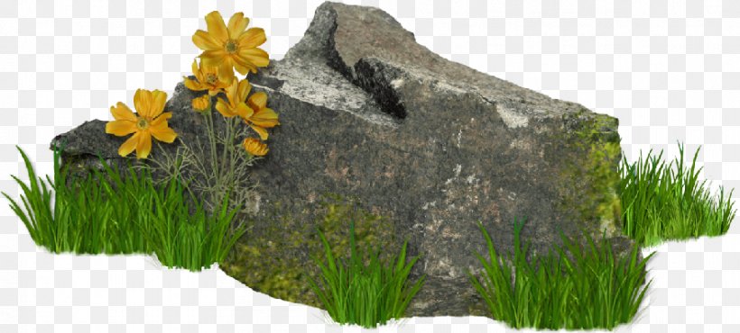 Stone Author Winter Clip Art, PNG, 886x400px, 2017, 2018, Stone, Aquarium Decor, Author Download Free