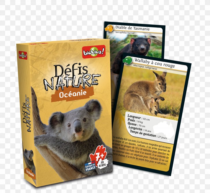 Bioviva Défis Nature Le Grand Jeu Board Game, PNG, 2953x2717px, Bioviva, Animal, Board Game, Card Game, Conservation Download Free