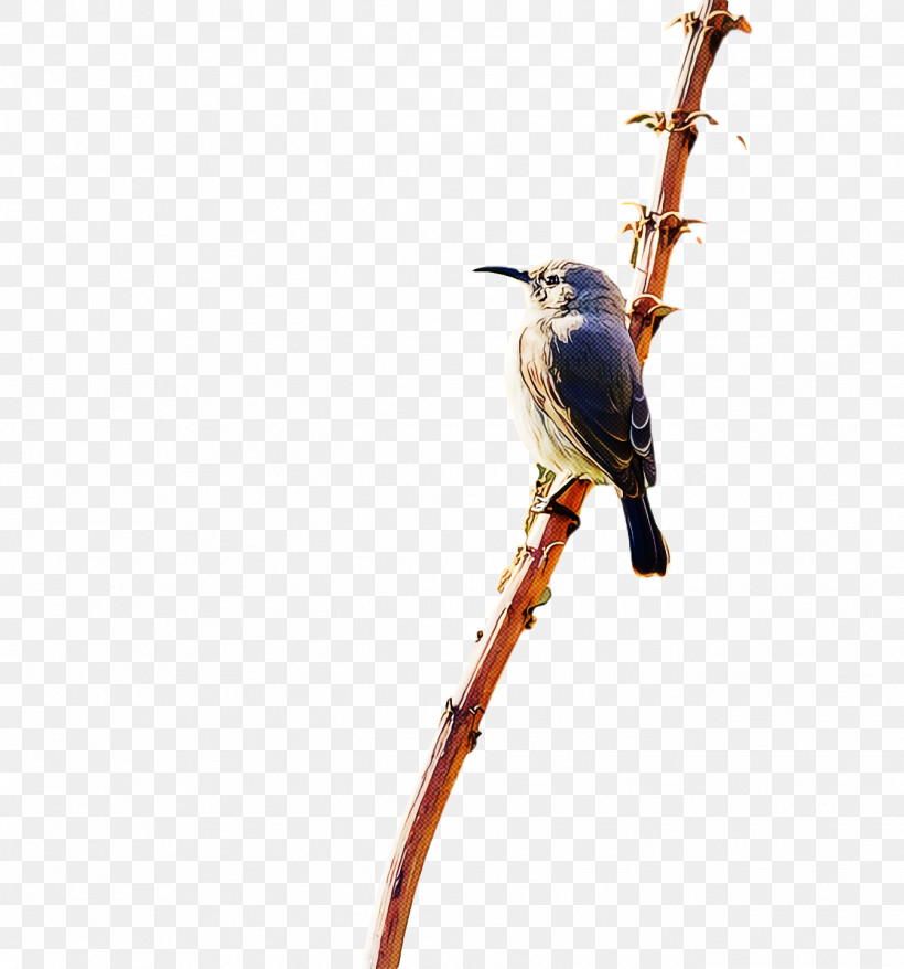 Bird, PNG, 1344x1440px, Bird, Beak, Branch, Coraciiformes, Cuculiformes Download Free