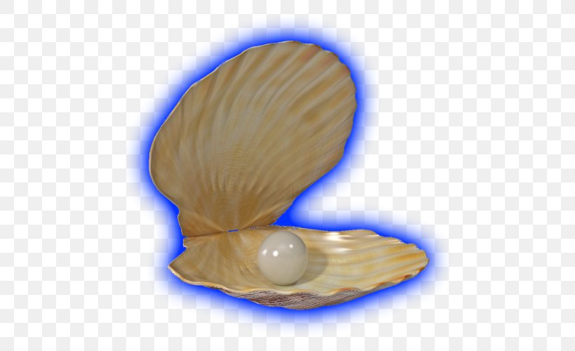 Clam Cockle Mussel Oyster Seashell, PNG, 500x500px, Clam, Clams Oysters Mussels And Scallops, Cobalt Blue, Cockle, Conch Download Free