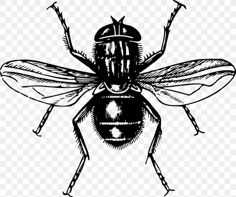 Clip Art Vector Graphics Lord Of The Flies Fly, PNG, 1280x1070px, Lord Of The Flies, Arthropod, Bee, Beetle, Blackandwhite Download Free