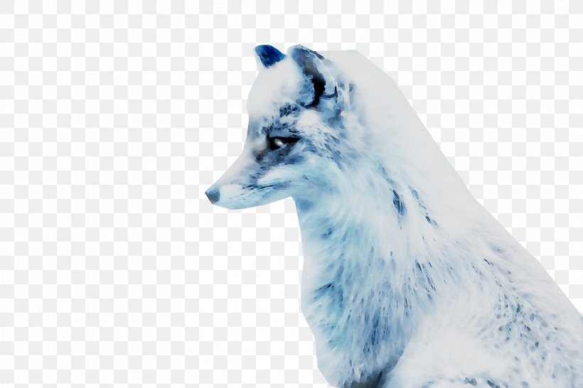 Fur Snout Fox News, PNG, 3163x2109px, Fur, Animal Figure, Arctic Fox, Canidae, Carnivore Download Free