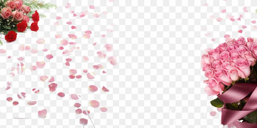 Garden Roses Petal Wallpaper, PNG, 1417x708px, Garden Roses, Blossom, Cherry Blossom, Display Resolution, Flora Download Free