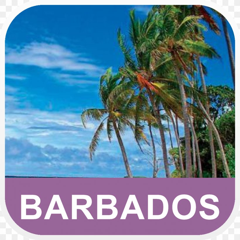 Hawaii Desktop Wallpaper Tropical Islands Resort Barbados Beach, PNG, 1024x1024px, Hawaii, Arecales, Barbados, Beach, Caribbean Download Free