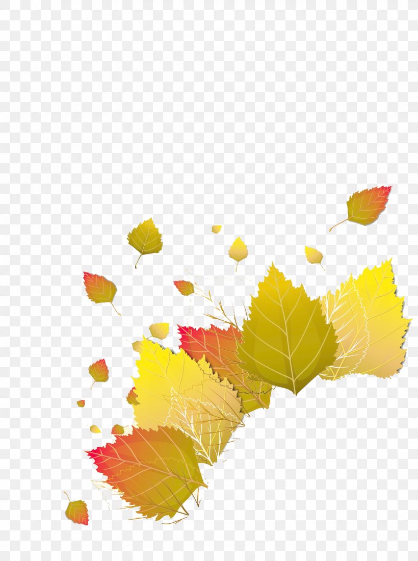 Red Maple Yellow Maple Leaf, PNG, 1024x1374px, Red Maple, Autumn Leaf Color, Flower, Fruit, Gratis Download Free