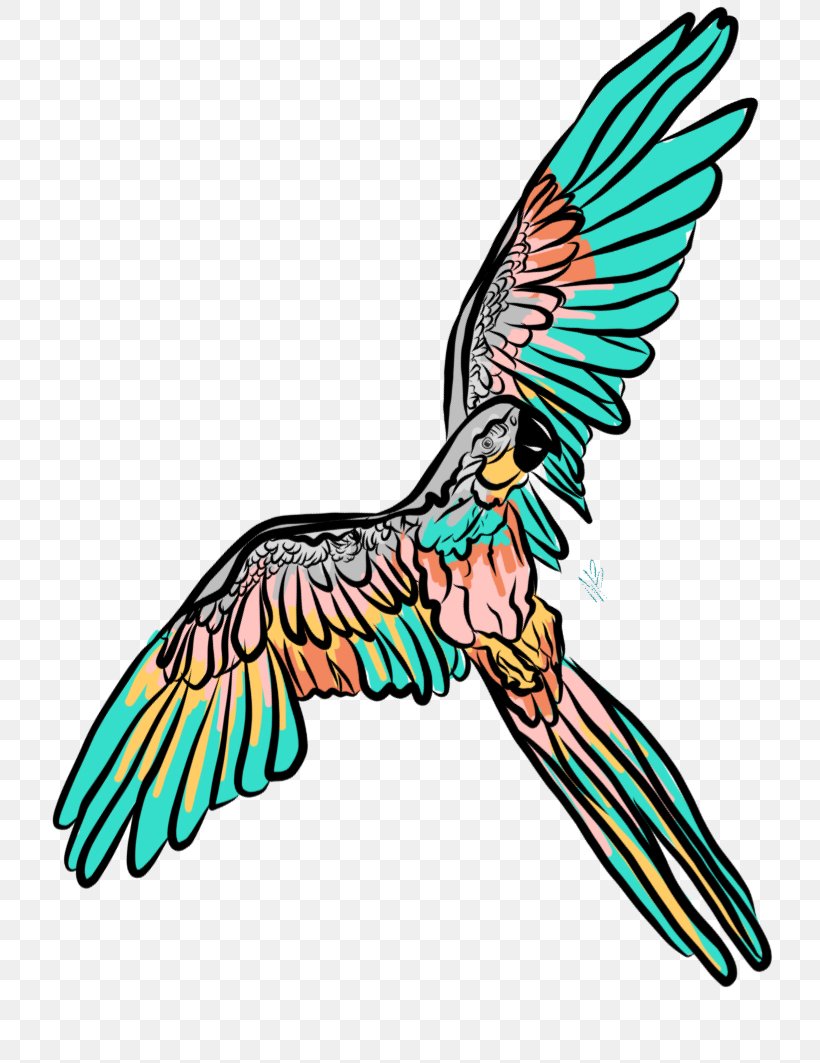Beak Feather Macaw Art Clip Art, PNG, 733x1063px, Beak, Art, Artwork, Bird, Character Download Free