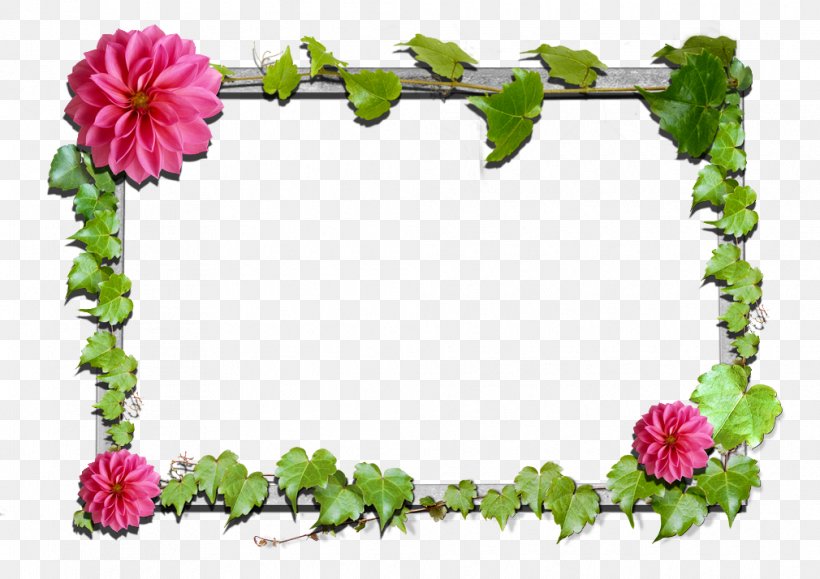 Borders And Frames Flower Floral Design Picture Frames Clip Art, PNG, 1010x714px, Borders And Frames, Cut Flowers, Floral Design, Floral Photo Frame, Flower Download Free
