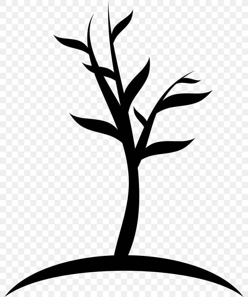 Tree, PNG, 792x980px, Tree, Artwork, Black And White, Branch, Flora Download Free