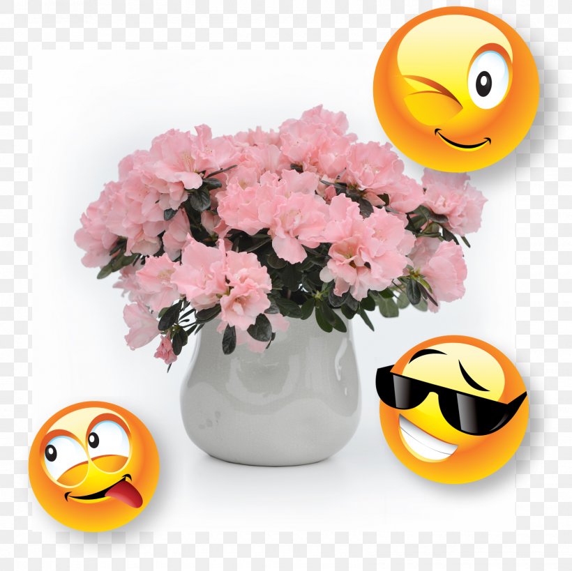 Cut Flowers Smiley Flowerpot, PNG, 1600x1600px, Cut Flowers, Flower, Flowering Plant, Flowerpot, Smiley Download Free