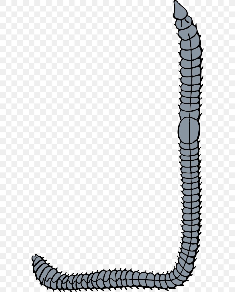 Earthworm Free Content Clip Art, PNG, 600x1016px, Worm, Area, Black And White, Caterpillar, Earthworm Download Free