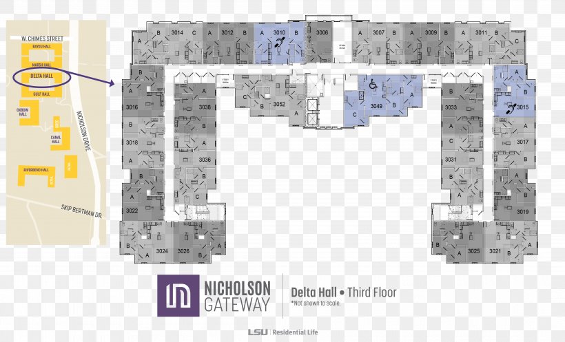 Floor Plan Nicholson Gateway Apartments House, PNG, 4200x2550px, Floor Plan, Apartment, Area, Brand, Building Download Free