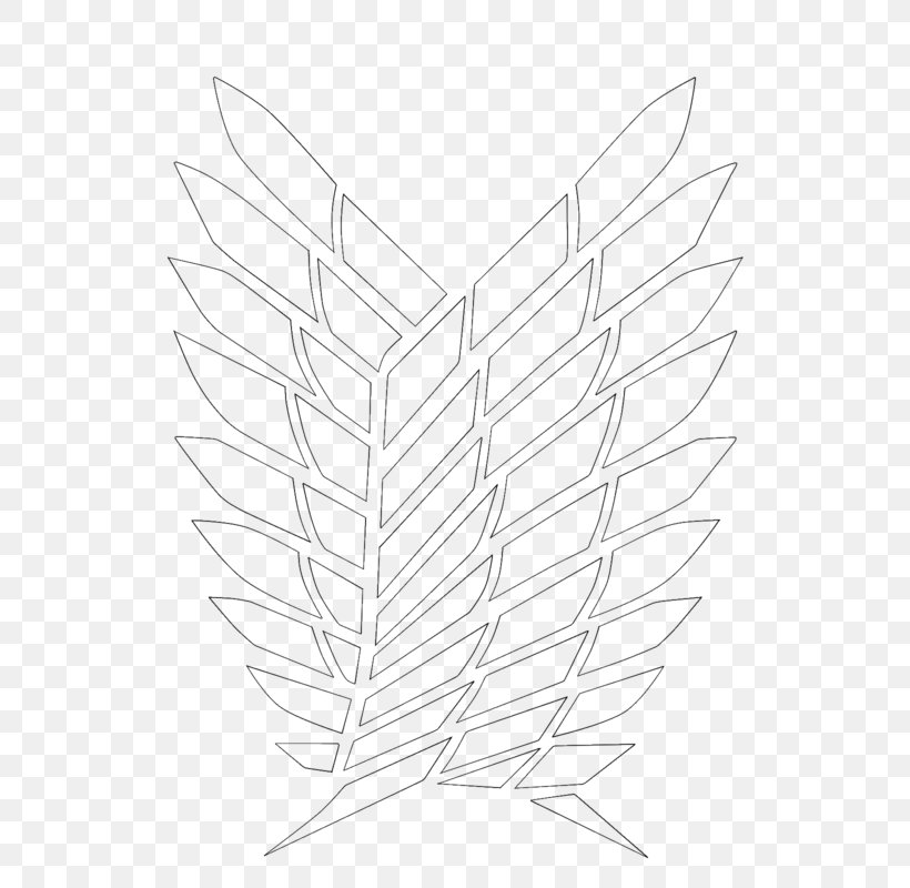 Leaf Line Art Angle Sketch, PNG, 800x800px, Leaf, Artwork, Black And White, Drawing, Grass Family Download Free