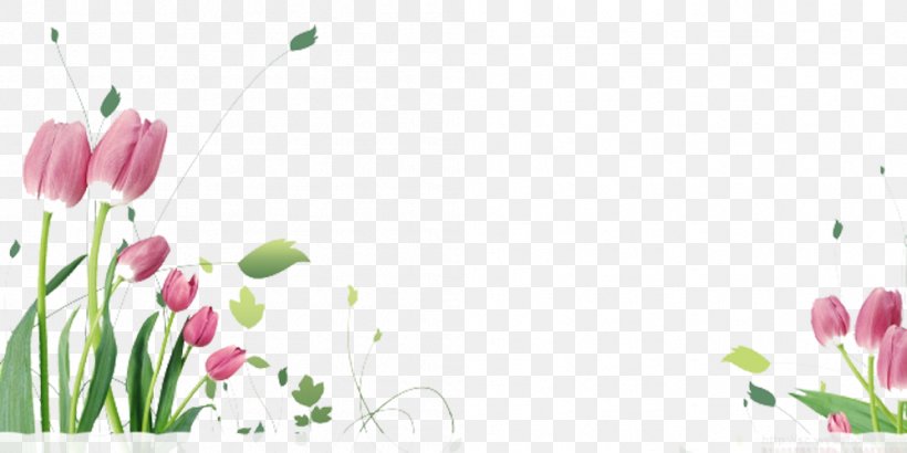 Tulip Flower Stock.xchng Eid Al-Fitr Clip Art, PNG, 999x500px, Tulip, Eid Aladha, Eid Alfitr, Eid Mubarak, Floral Design Download Free