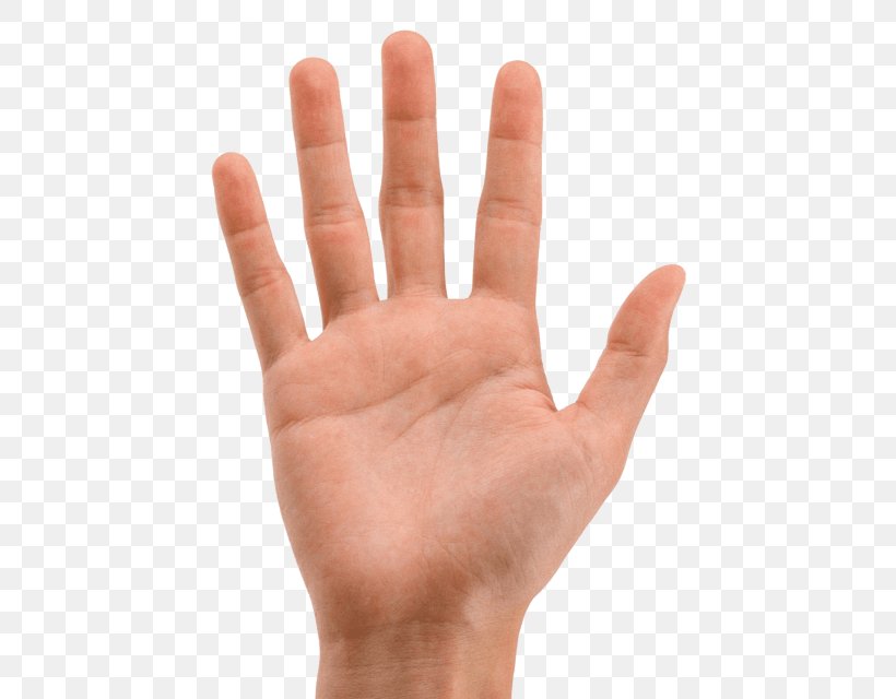 Finger Hand Palm Image, PNG, 480x640px, Finger, Anatomy, Arm, Fingerprint, Foot Download Free