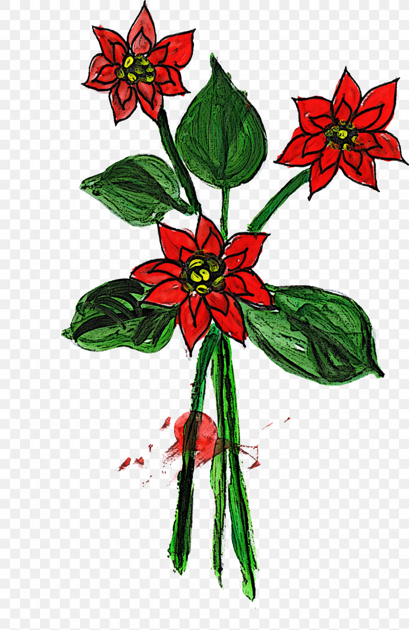 Flower Plant Red Poinsettia Wildflower, PNG, 1132x1744px, Flower, Plant, Poinsettia, Red, Wildflower Download Free