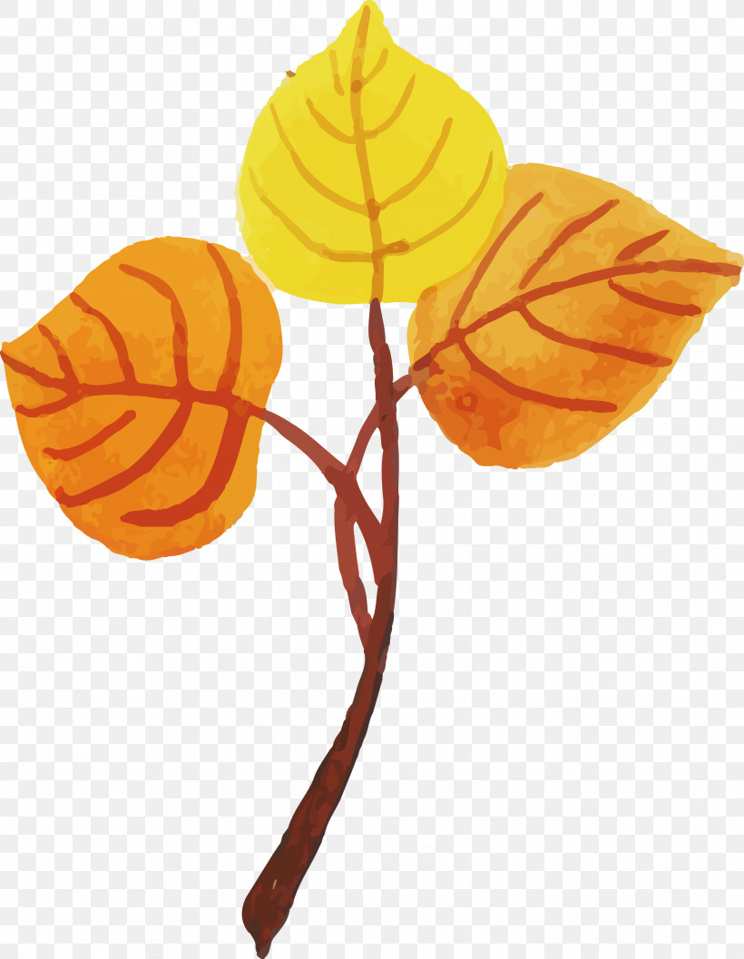 Leaf Biology Plant Structure Plants Science, PNG, 2327x3000px, Watercolor Autumn, Biology, Colorful Leaf, Leaf, Plant Structure Download Free