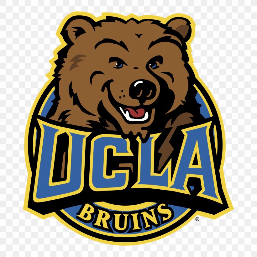 University Of California, Los Angeles UCLA Bruins Men's Basketball UCLA Bruins Football Cactus Bowl UCLA Bruins Softball, PNG, 2400x2400px, Ucla Bruins Football, American Football, Basketball, Bear, Brand Download Free