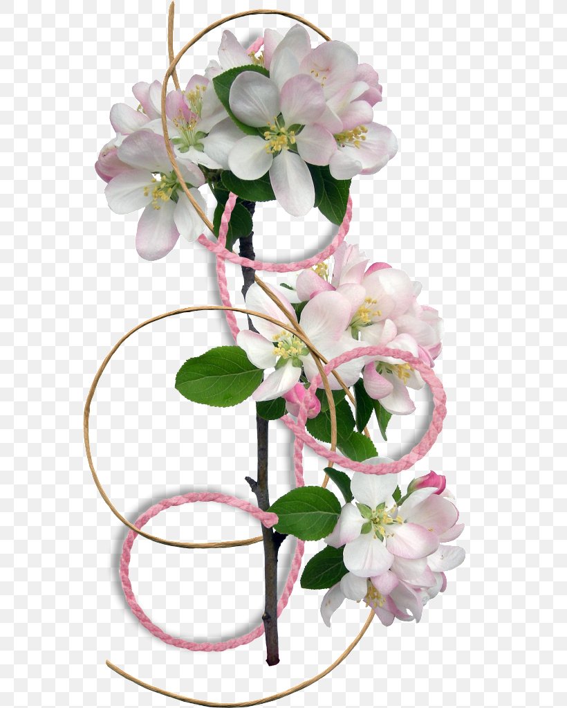 Border Flowers Clip Art, PNG, 611x1023px, Border Flowers, Blossom, Branch, Cherry Blossom, Cut Flowers Download Free