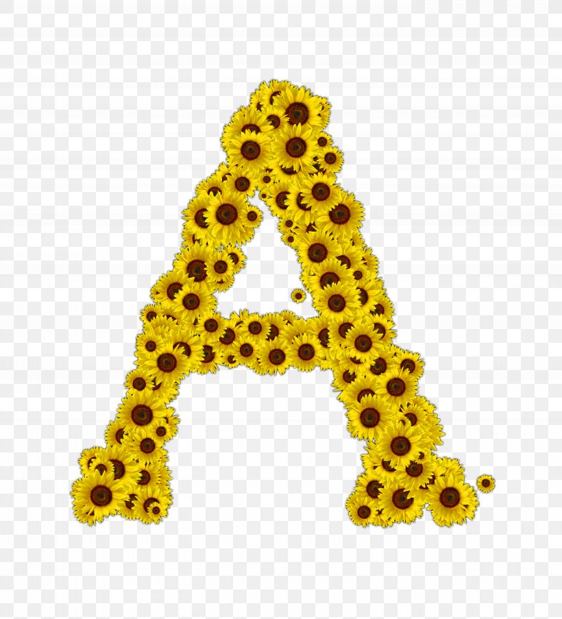 Giraffe Body Jewellery Font, PNG, 5443x6000px, Giraffe, Body Jewellery, Body Jewelry, Giraffidae, Jewellery Download Free