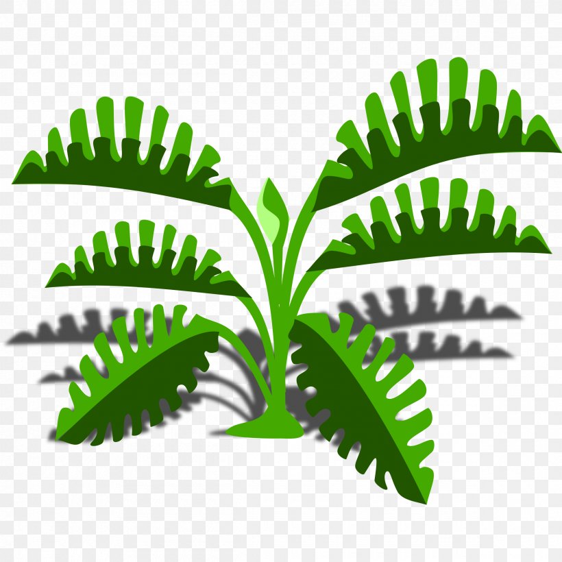 Leaf Philodendron Clip Art, PNG, 2400x2400px, Leaf, Cartoon, Drawing, Fern, Grass Download Free